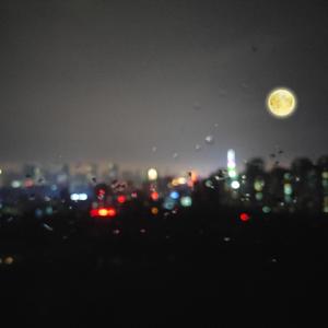 欧美加长玩具肛交视频
