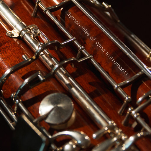 欧美加长玩具肛交视频
